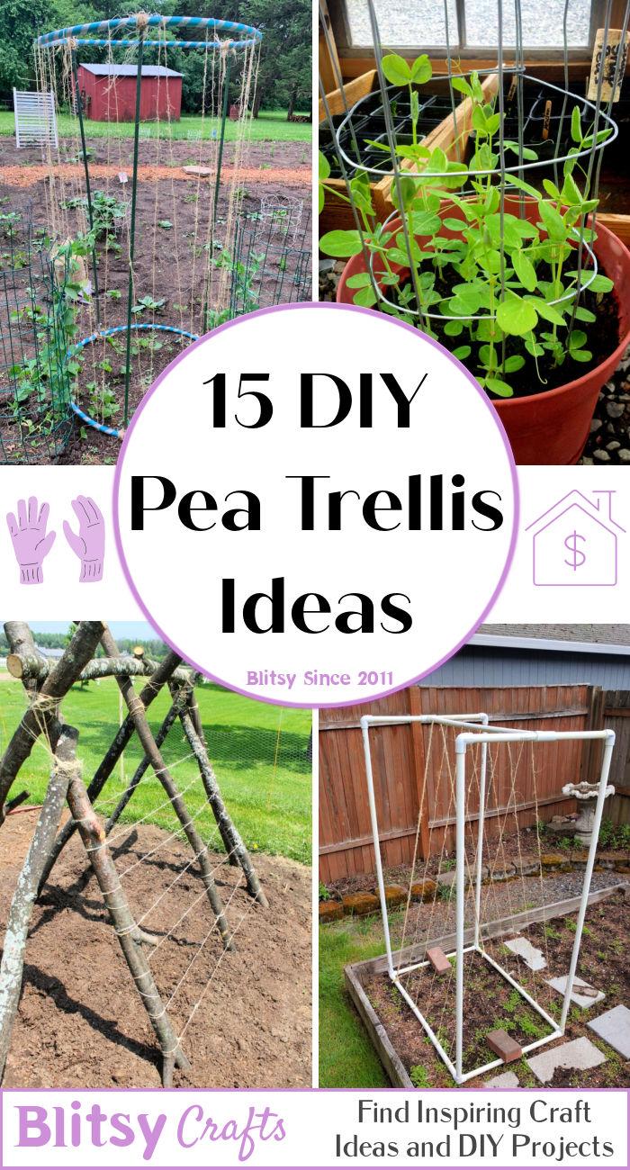 15 DIY Pea Trellis Ideas