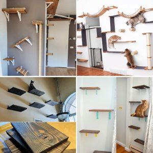 16 easy DIY Cat Shelves and cat wall ideas