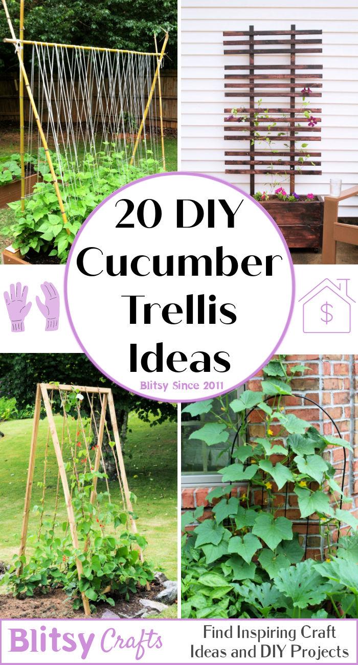 20 homemade DIY cucumber trellis ideas