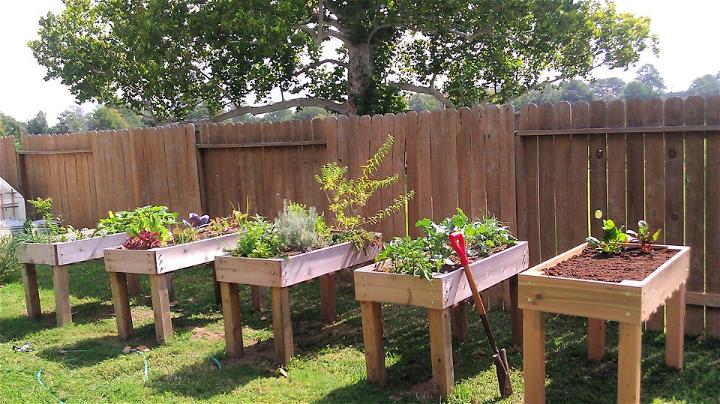 Above Ground Planter Boxes