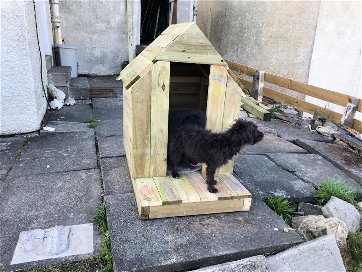 Build A Shitty Dog House