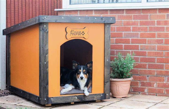 Build Plywood Dog House