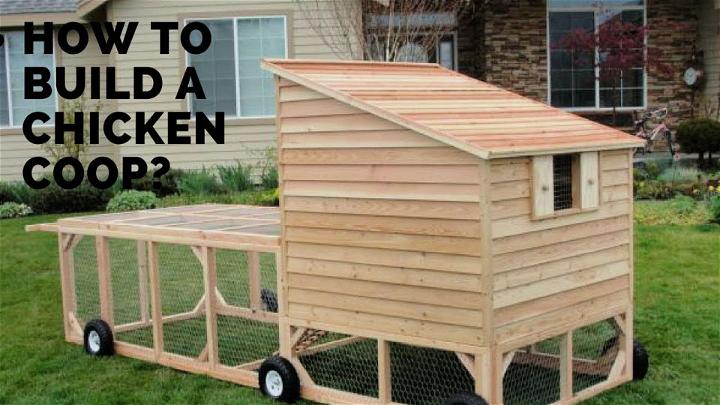Build a Chicken Coop Plan for 10 Chickens