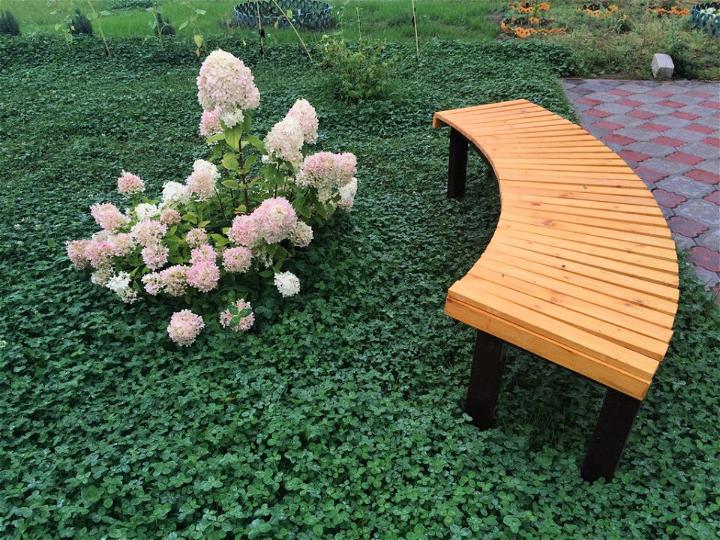 Building A Garden Bench