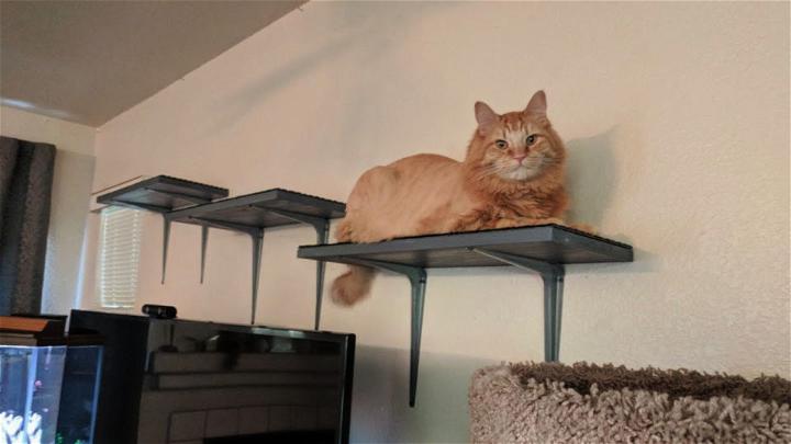 Building Cat Shelves