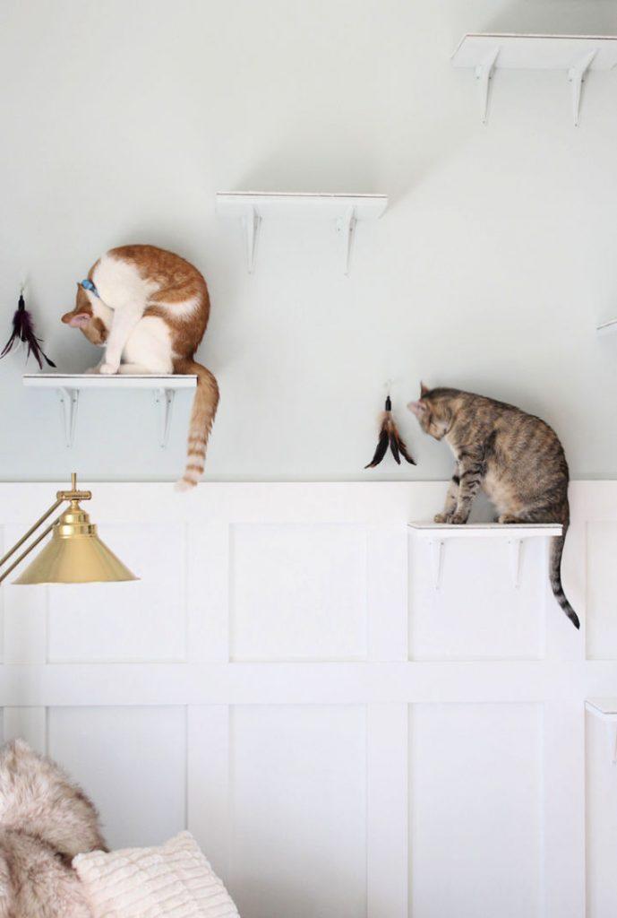 Building The Modern Cat Shelves