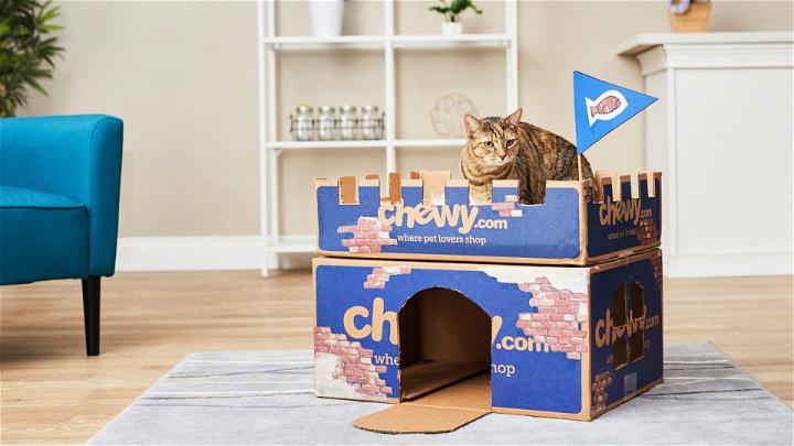 Chewy Box Cat Castle 1