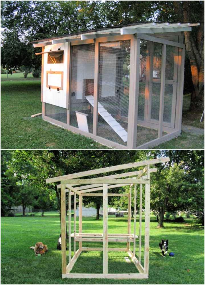 Chicken Coop Plan For 8 Chickens