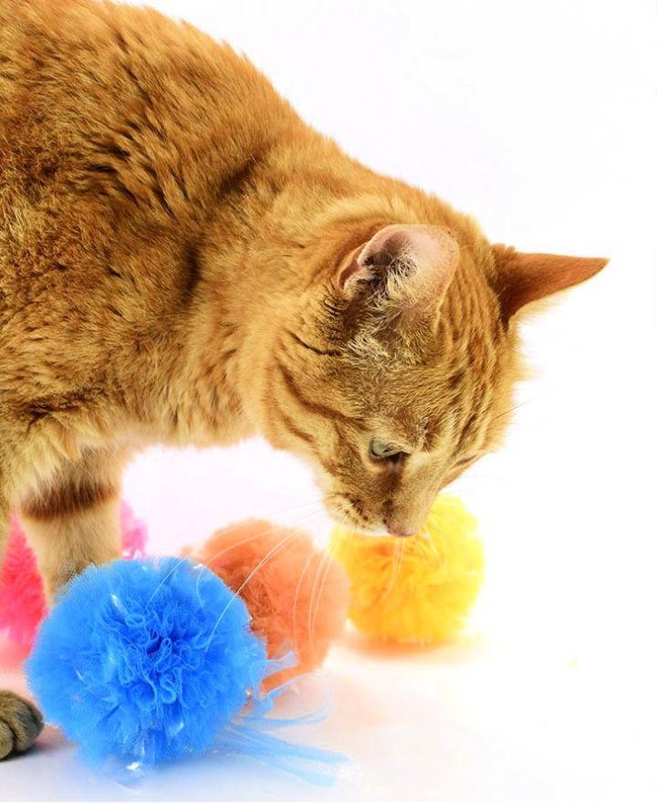 Crinkle Pompom Cat Toys