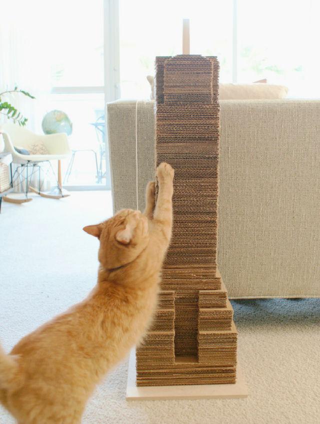 Rascador de cartón para gatos DIY