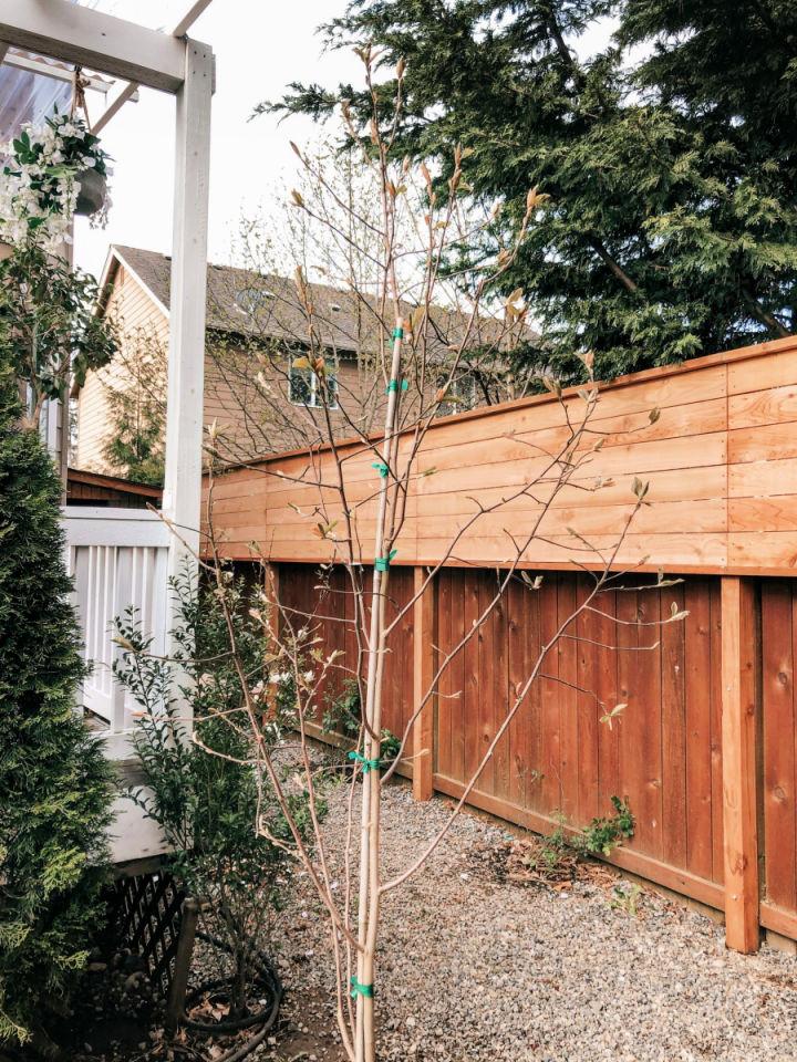 DIY Cedar Privacy Fence