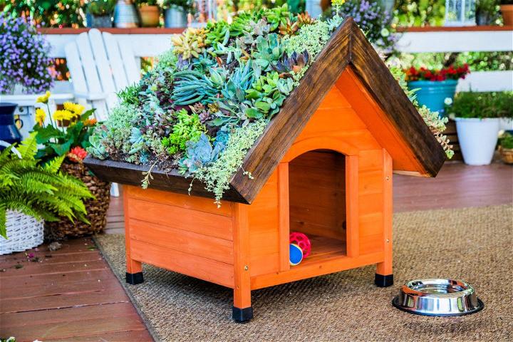DIY Living Roof Dog House