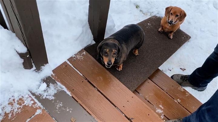 DIY Outdoor Dog Ramp