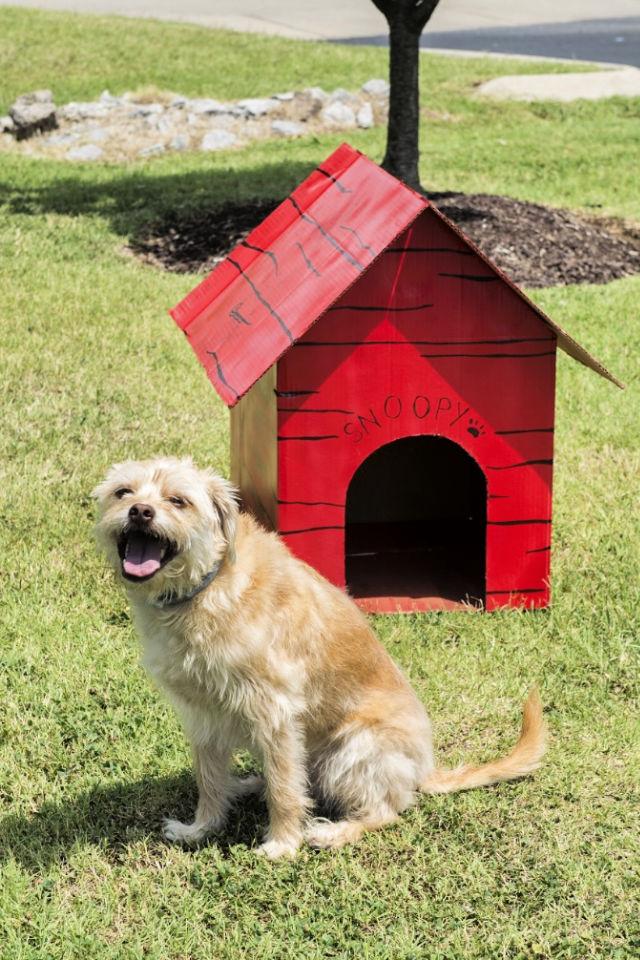DIY Snoopy Dog House