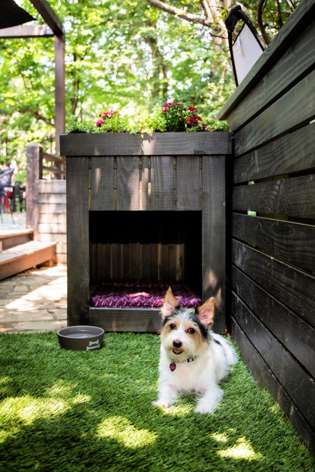 Dog House Using an Upcycled Pallet