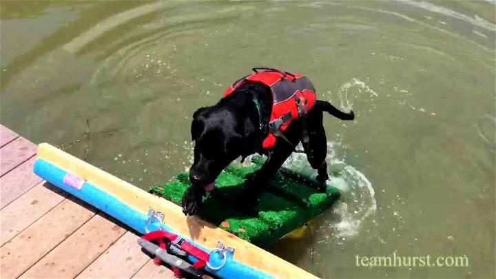 Dog Pool Ramp