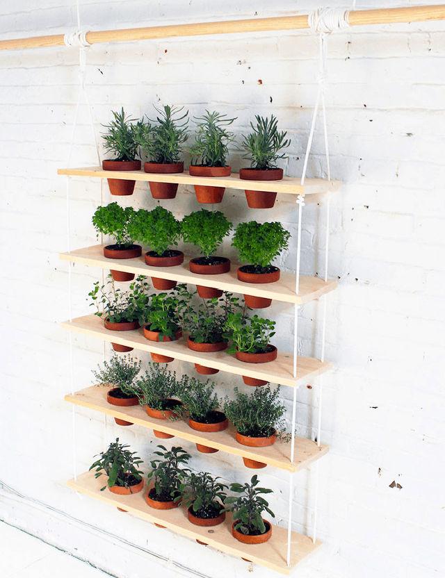 Hanging Garden for Indoor