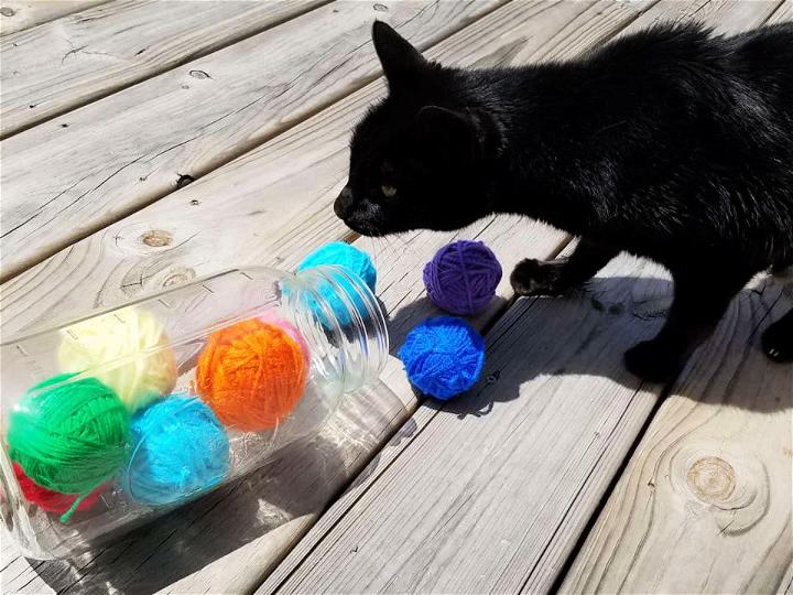 Homemade Cat Toy for Playful Cats