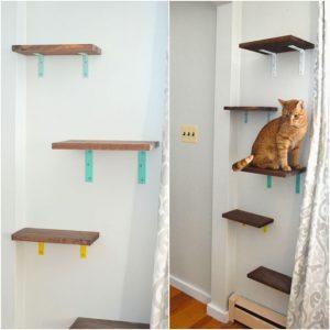 16 Creative DIY Cat Shelves and Cat Wall Ideas - Blitsy