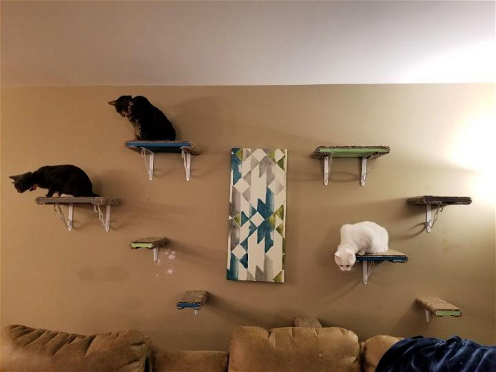 How To Build Cat Wall Shelves