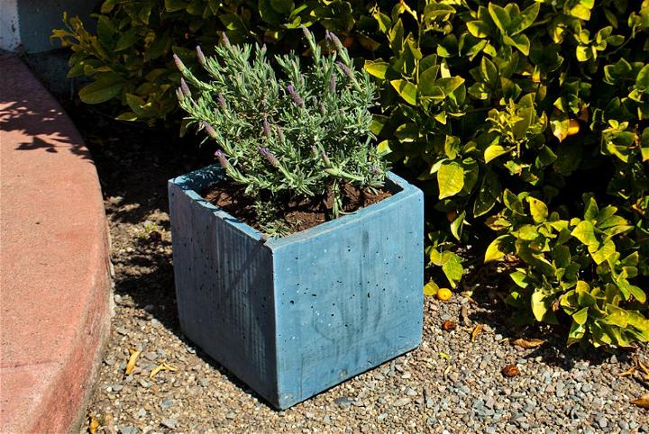 How To Make A Concrete Planter Box