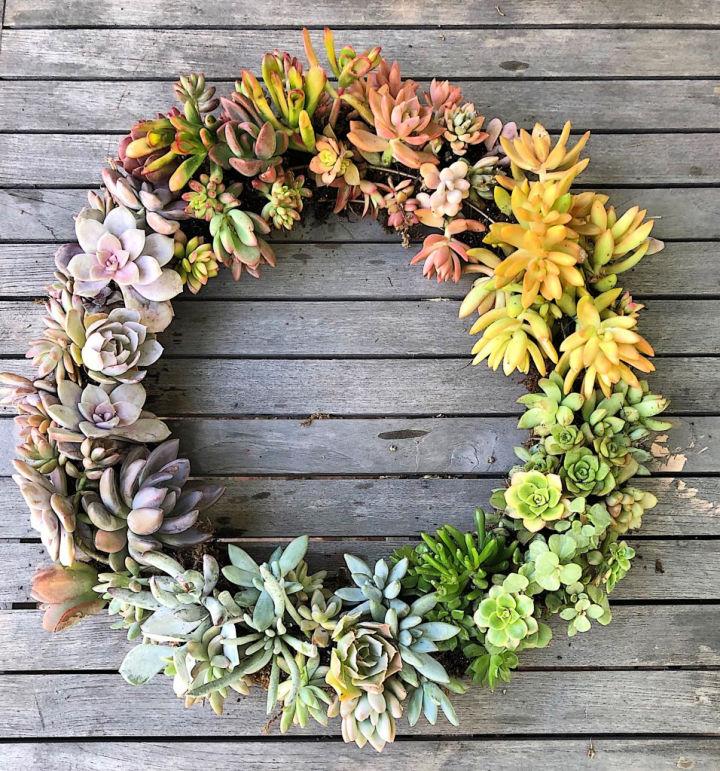 How To Make A Succulent Wreath