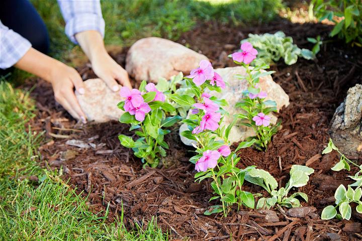 How to Build a New Flower Bed