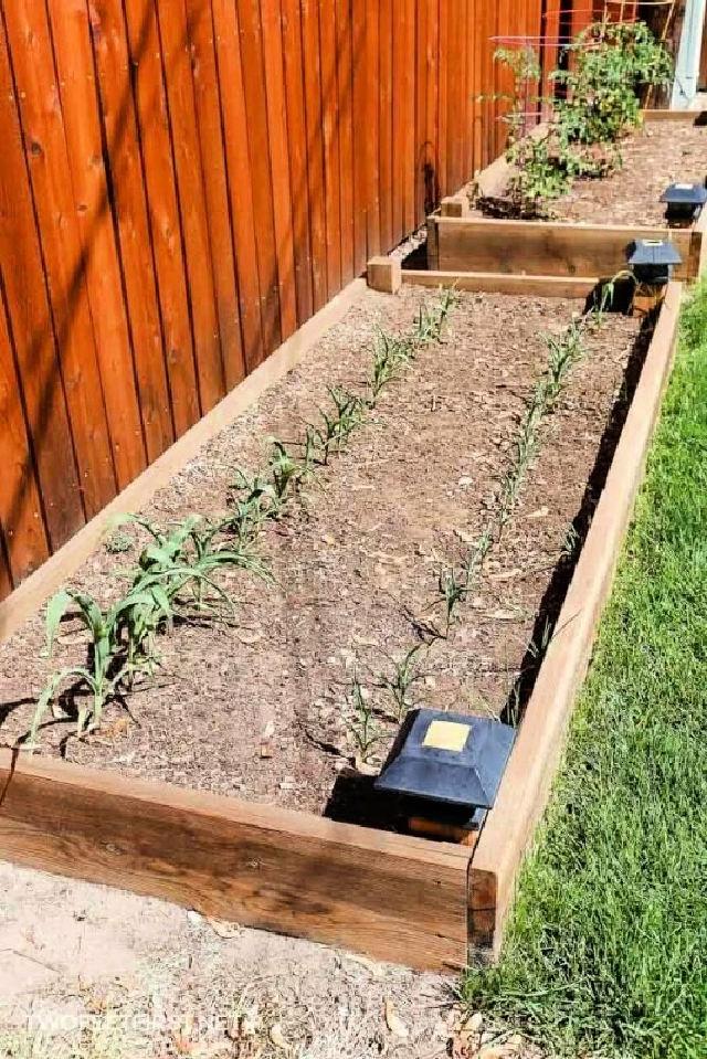 40 Easy To Build Raised Garden Bed Plans - Blitsy