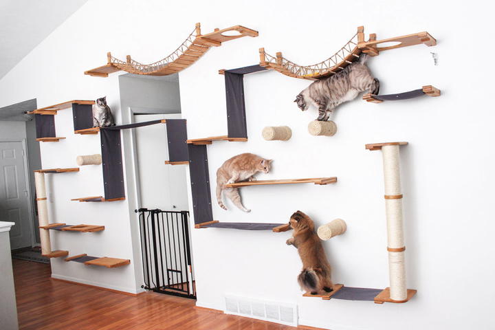 16 Creative DIY Cat Shelves And Cat Wall Ideas Blitsy