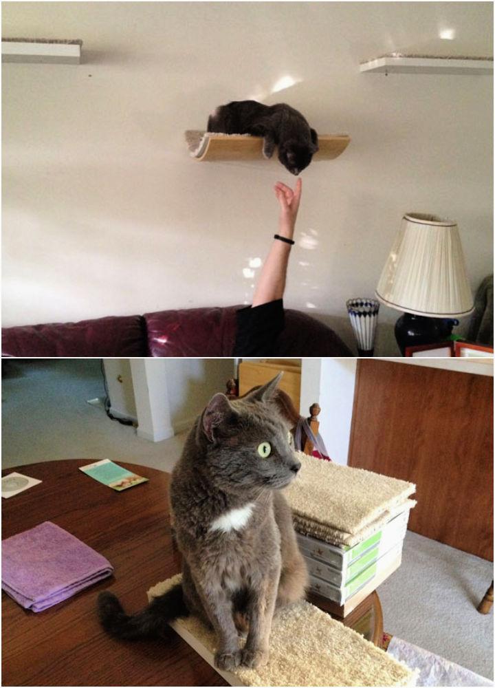 How to Make Cat Wall Shelf