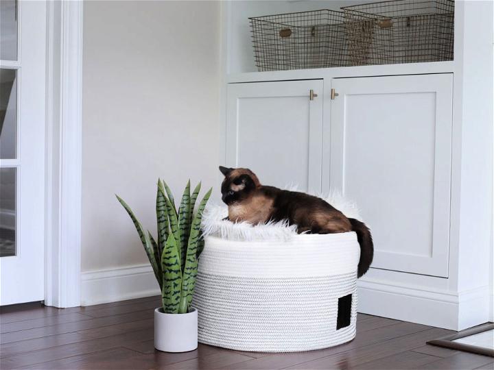 Indoor Cat House in Basket