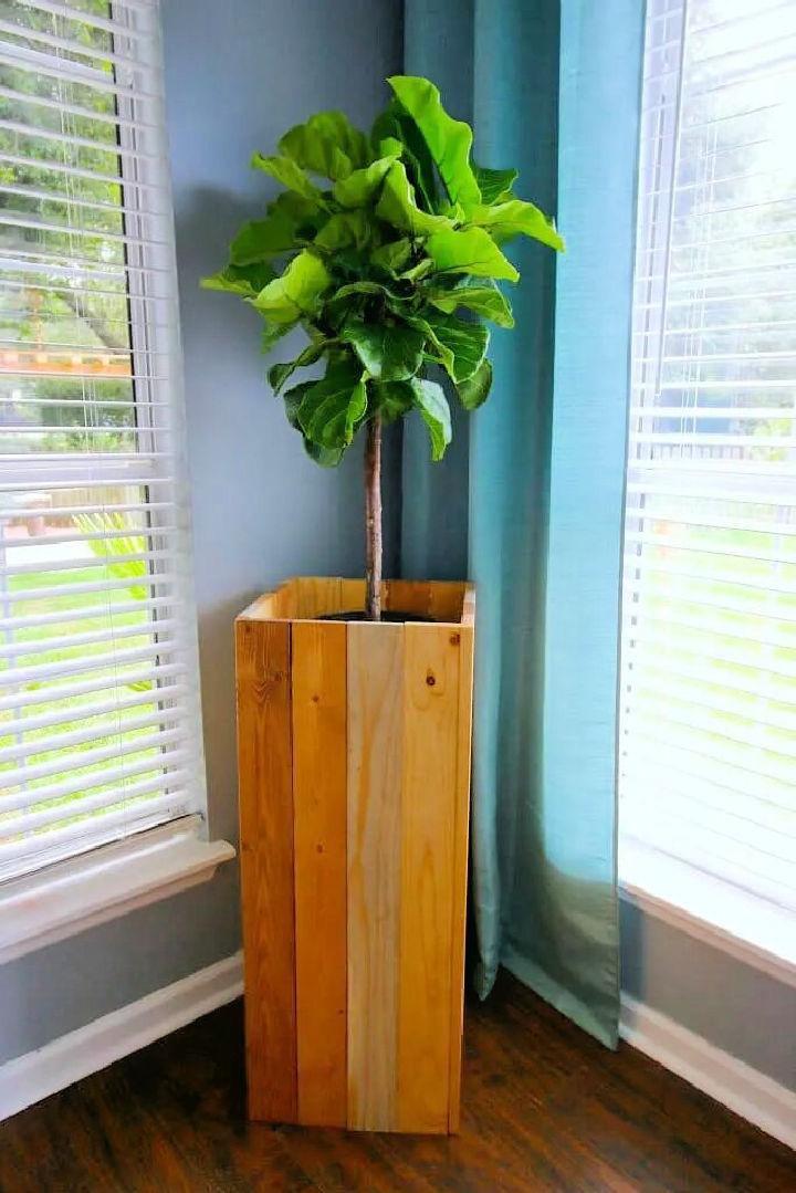 Indoor Elevated Plant Stand