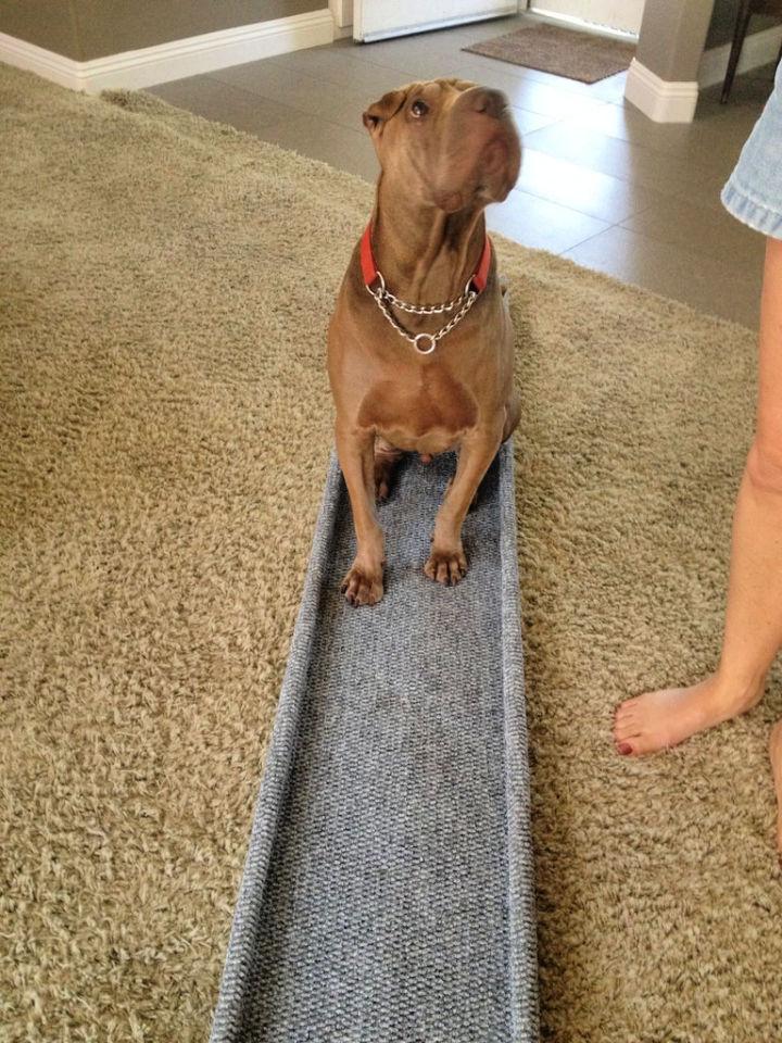 Inexpensive DIY Doggie Ramp