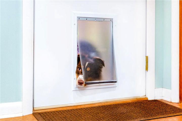 Install a Doggie Door in a Metal Door