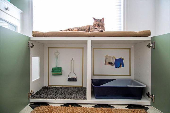 Kitty Litter Box Inside a Cabinet