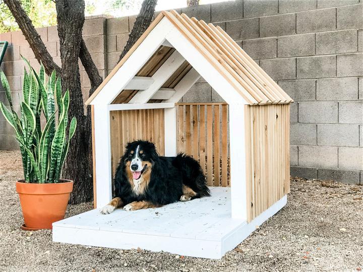 Luxury DIY Dog House