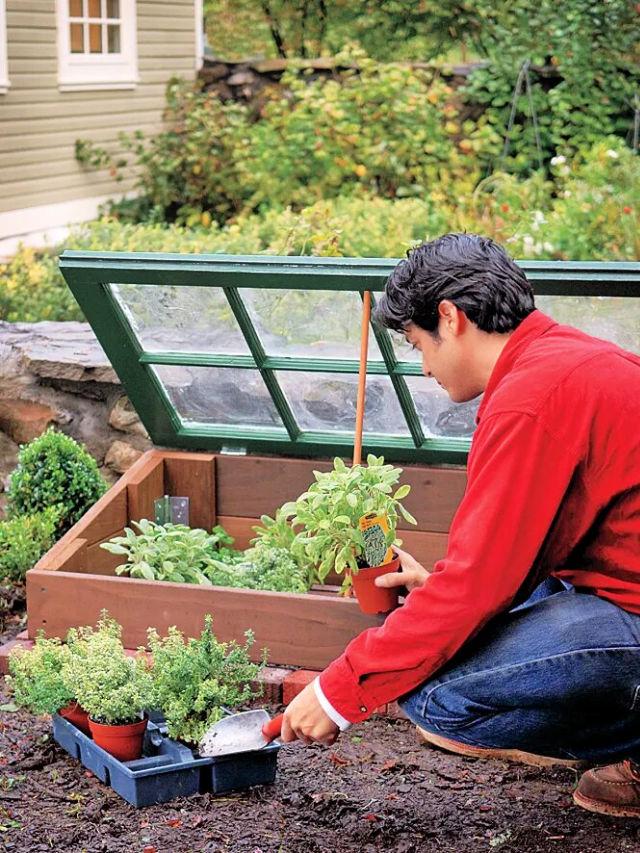 Make Your Own Cold Frame