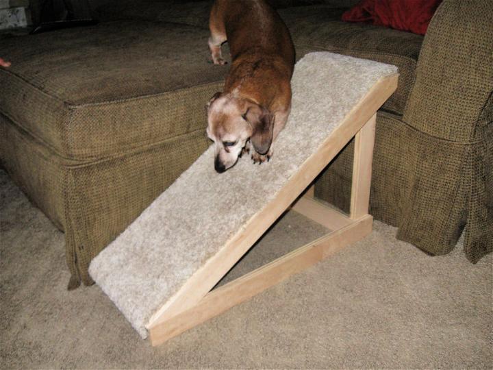 Make a Pet Ramp