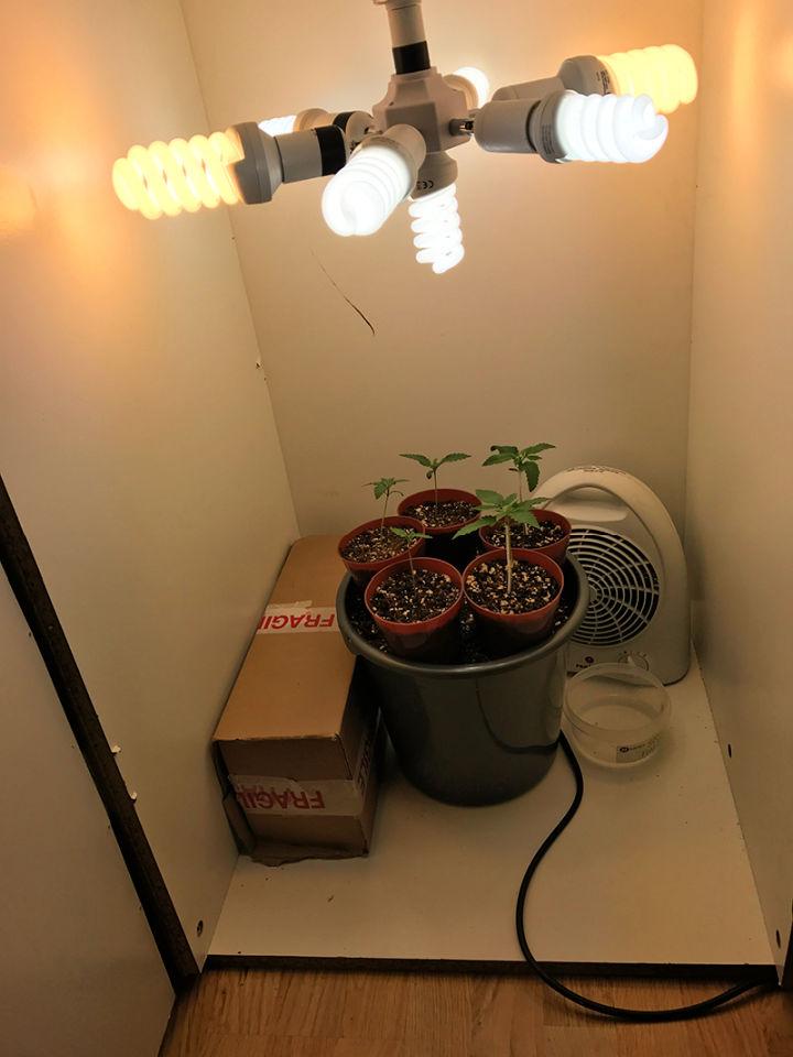 Make a Weed Grow Box