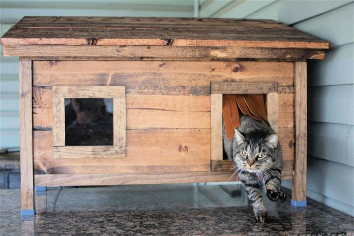 Making Cat House to Sell