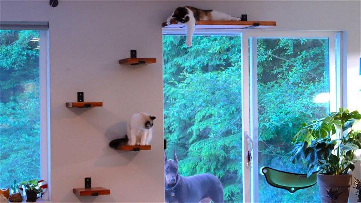 Making Cat Shelves