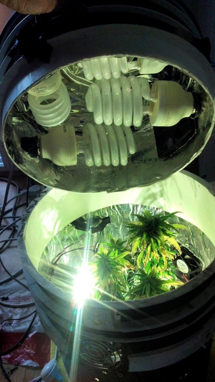 Marijuana Grow Box Using Bucket