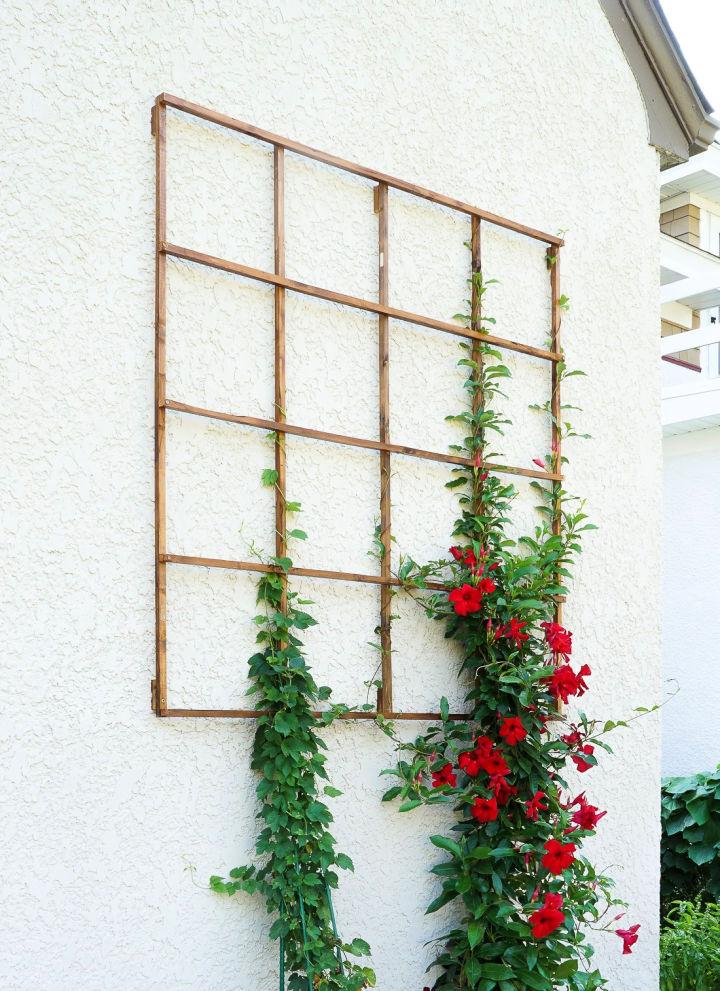 Modern DIY Garden Trellis