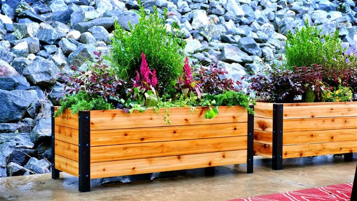 Modern DIY Planter Box