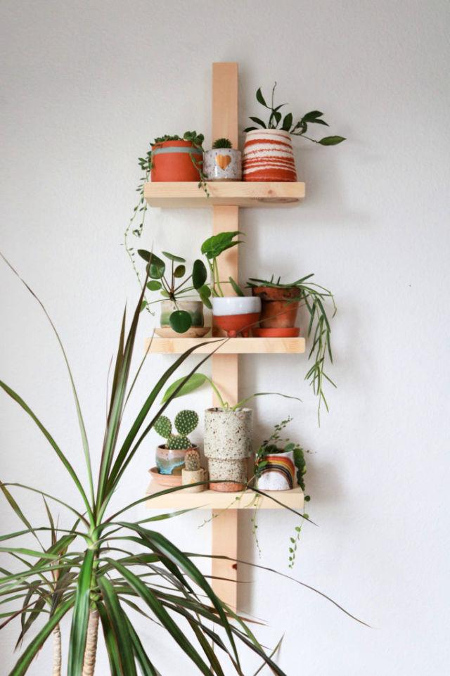 Modern Plant Shelf DIY