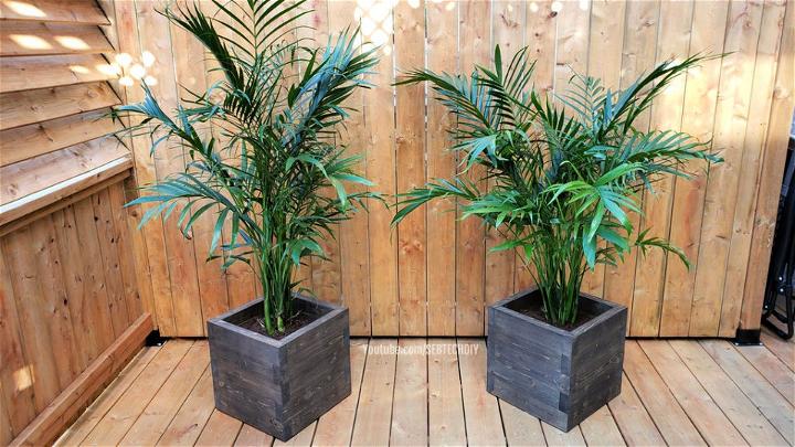 Modern Planter Box Made With 2x4s