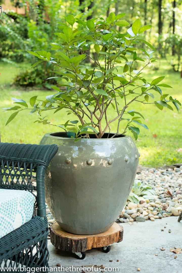 Outdoor Rolling Plant Stand