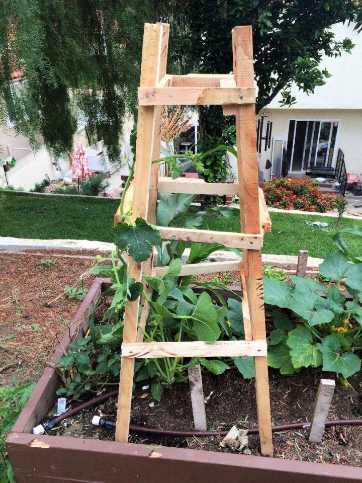 Pallet Garden Trellis