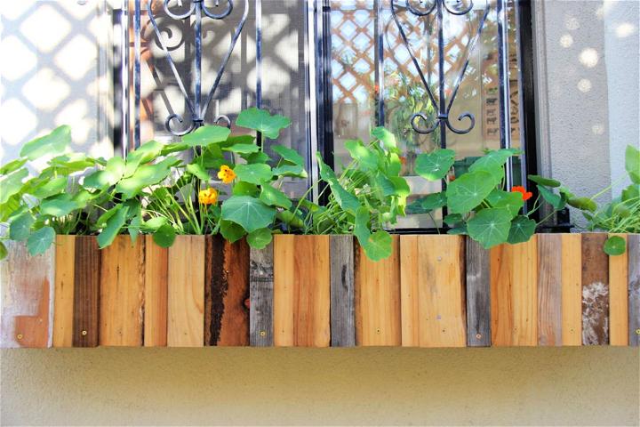 Planter Boxes for Windows With Bars