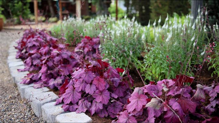 Planting a New Flowerbed